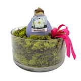 Waxed Amaryllis Bulb in Clear Container with Moss