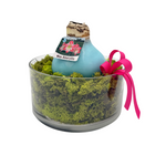 Waxed Amaryllis Bulb in Clear Container with Moss