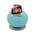 Waxed Amaryllis Bulbs (Multiple Color Options)