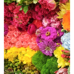 Raleigh Fresh Flower Hand Tied Bouquet (Not Available May 5th - 11th)