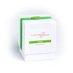 C&B Orchid Signature Cultivate & Bloom Candle