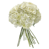 Golden - Inspired by Hallie Ray Light McCollum - Several color roses to choose from. (Not Available May 5th - 11th)