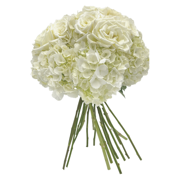 Golden - Inspired by Hallie Ray Light McCollum - Several color roses to choose from. (Not Available May 5th - 11th)