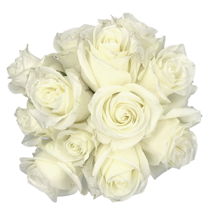 Posh Fresh Flower Hand Tied Bouquet