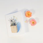 Bag Lady Greeting Cards package of 4 with envelopes, 4 separate designs