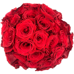 Posh Luxe Fresh Flower Hand Tied Bouquet  - 60 Stems of Roses (Local San Antonio Delivery Only)