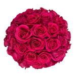 Posh Luxe Fresh Flower Hand Tied Bouquet  - 60 Stems of Roses (Local San Antonio Delivery Only)