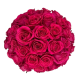 Posh Luxe Fresh Flower Hand Tied Bouquet  - 60 Stems of Roses (Local San Antonio Delivery Only)